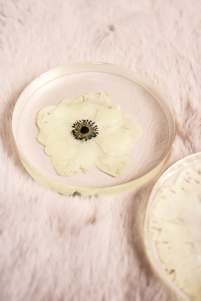 Custom Floral Preservation